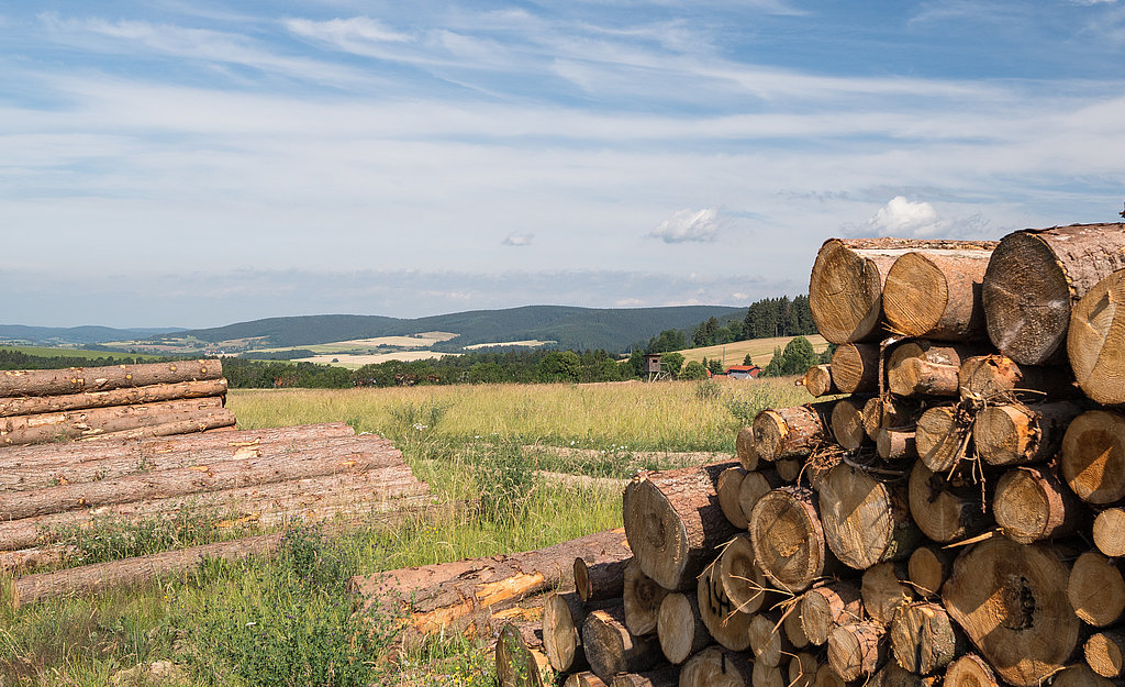 Land und Forstdienstleistungen Land und Forstdienstleistungen